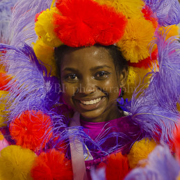 The sense of Carnaval, Rio de Janeiro, 2013