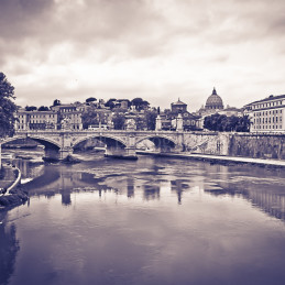 Paint, Rome, 2013