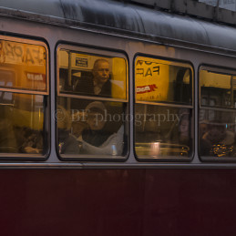 Man in tram, Wien, 2014